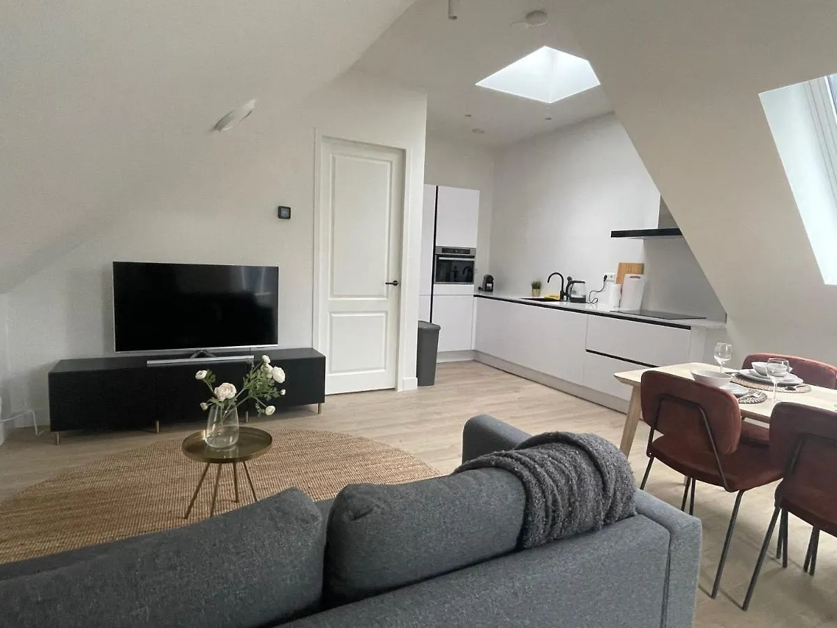 Natural 1 Bedroom Apartment 54M2 -Ss177N- Rotterdam 0*,  Netherlands